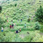 हरेला सप्ताह के अंतर्गत 130 इन्फैंट्री बटालियन (प्रादेशिक सेना) इकोलॉजिकल कुमाऊँ द्वारा विशेष वृक्षारोपण अभियान