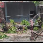 छुटमलपुर में आंधी-बारिश का कहर, हाईटेंशन लाइन टूटी; सड़क पर आवागमन बाधित